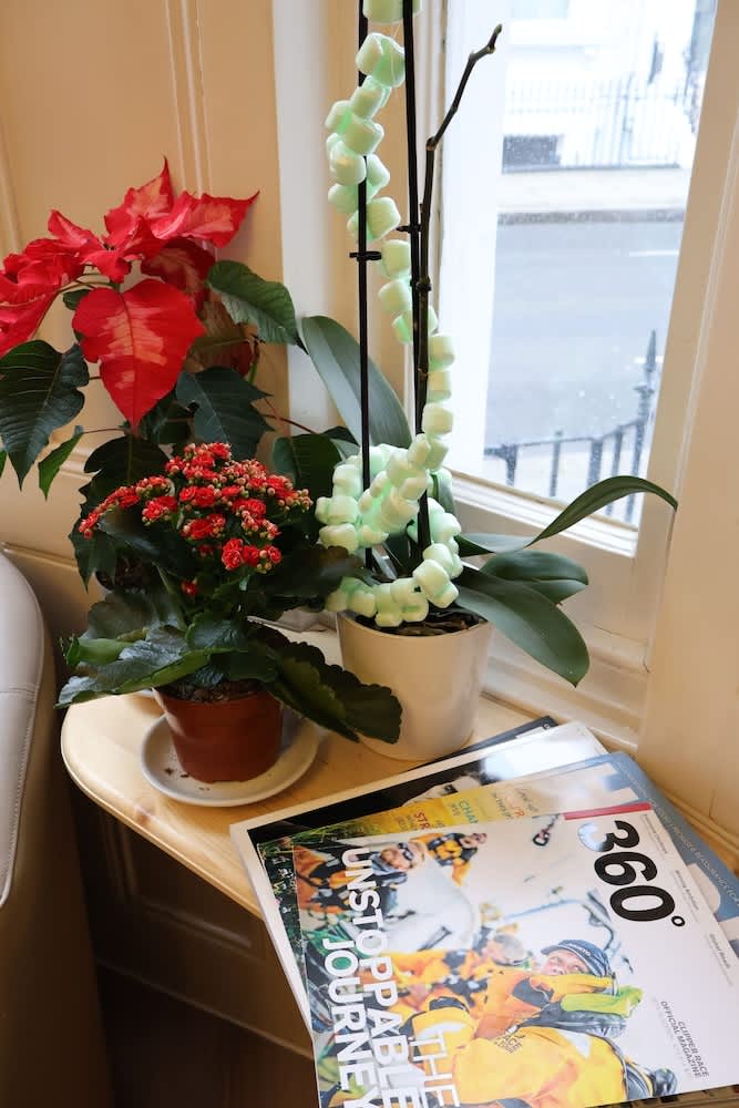 Dreamtel London Kensington 3