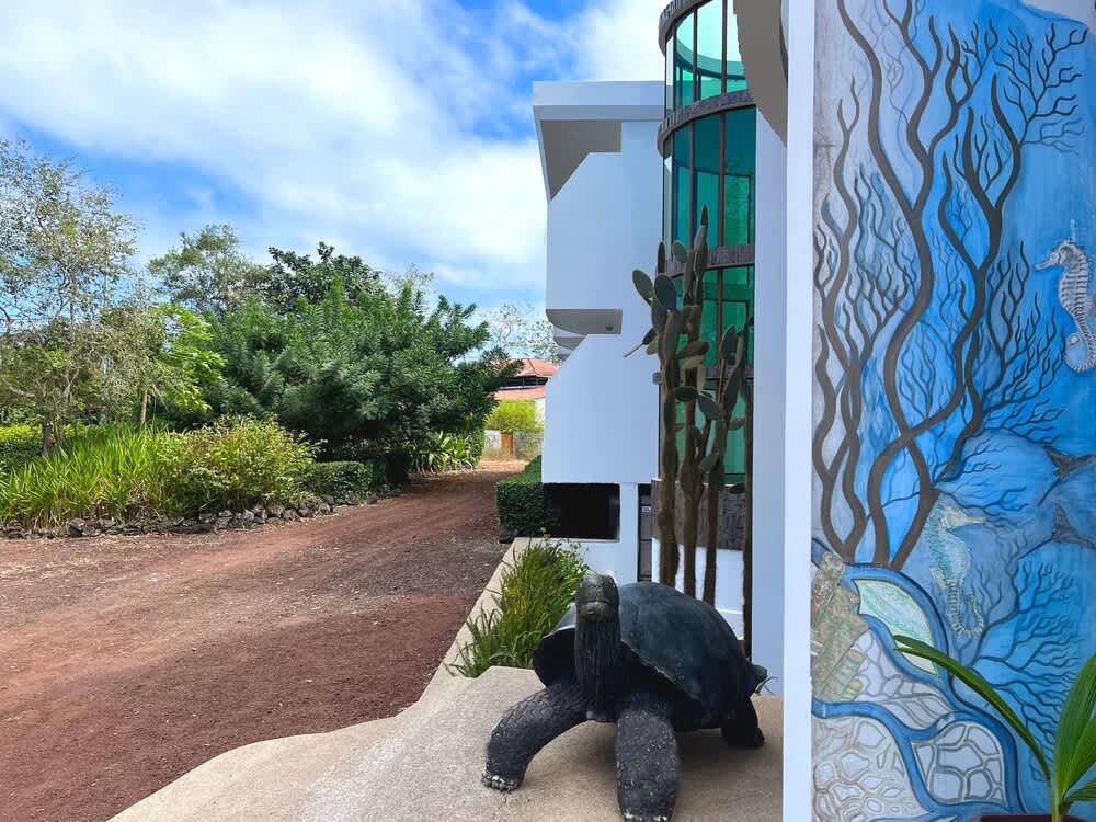 Hotel Tortuga Bay - Galápagos 1