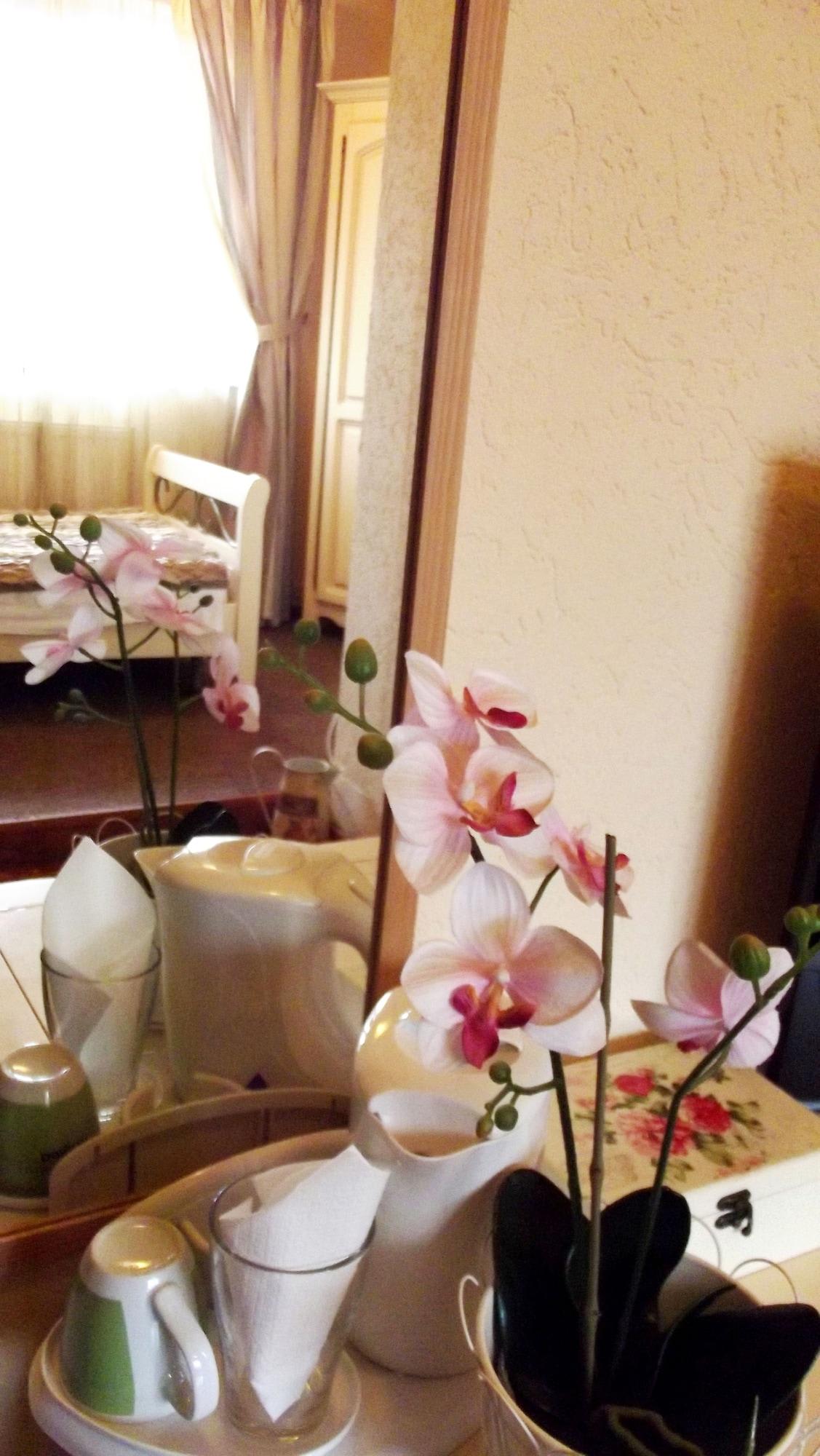 Vila Fortuna - Art O'Clock 1