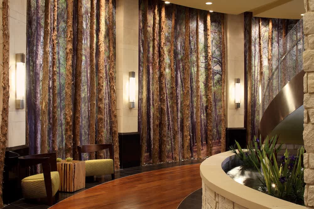 Hyatt Centric The Woodlands 2