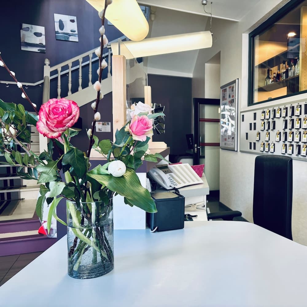 Logis Hôtel-Restaurant LE FONTARABIE 5