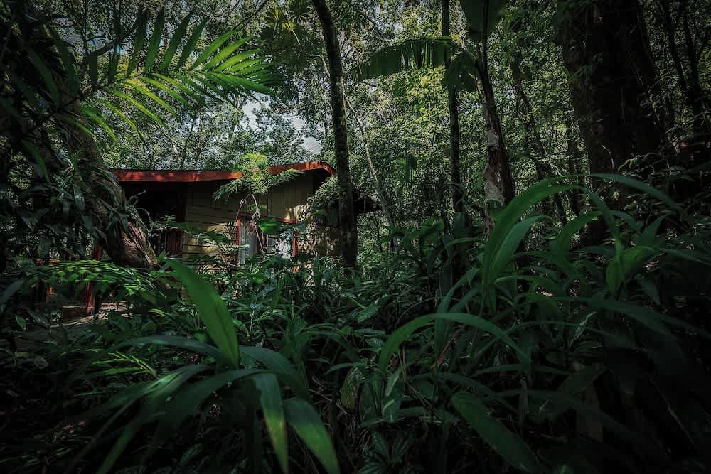 Jaguarundi Lodge 1
