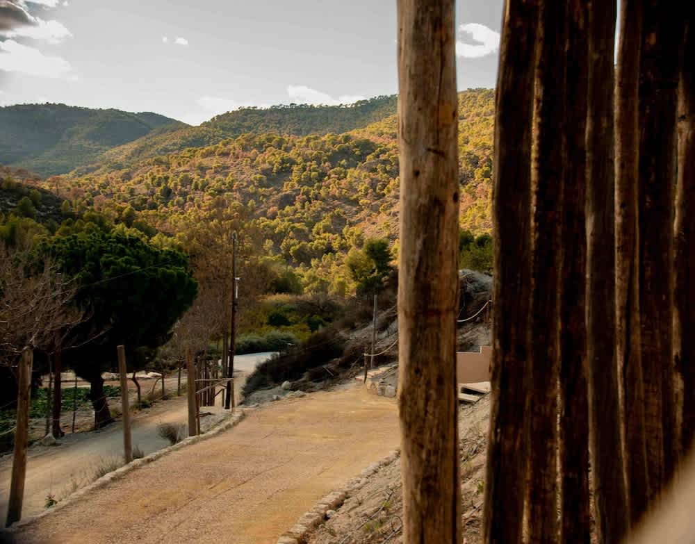 Ribazos de la Sierra 1