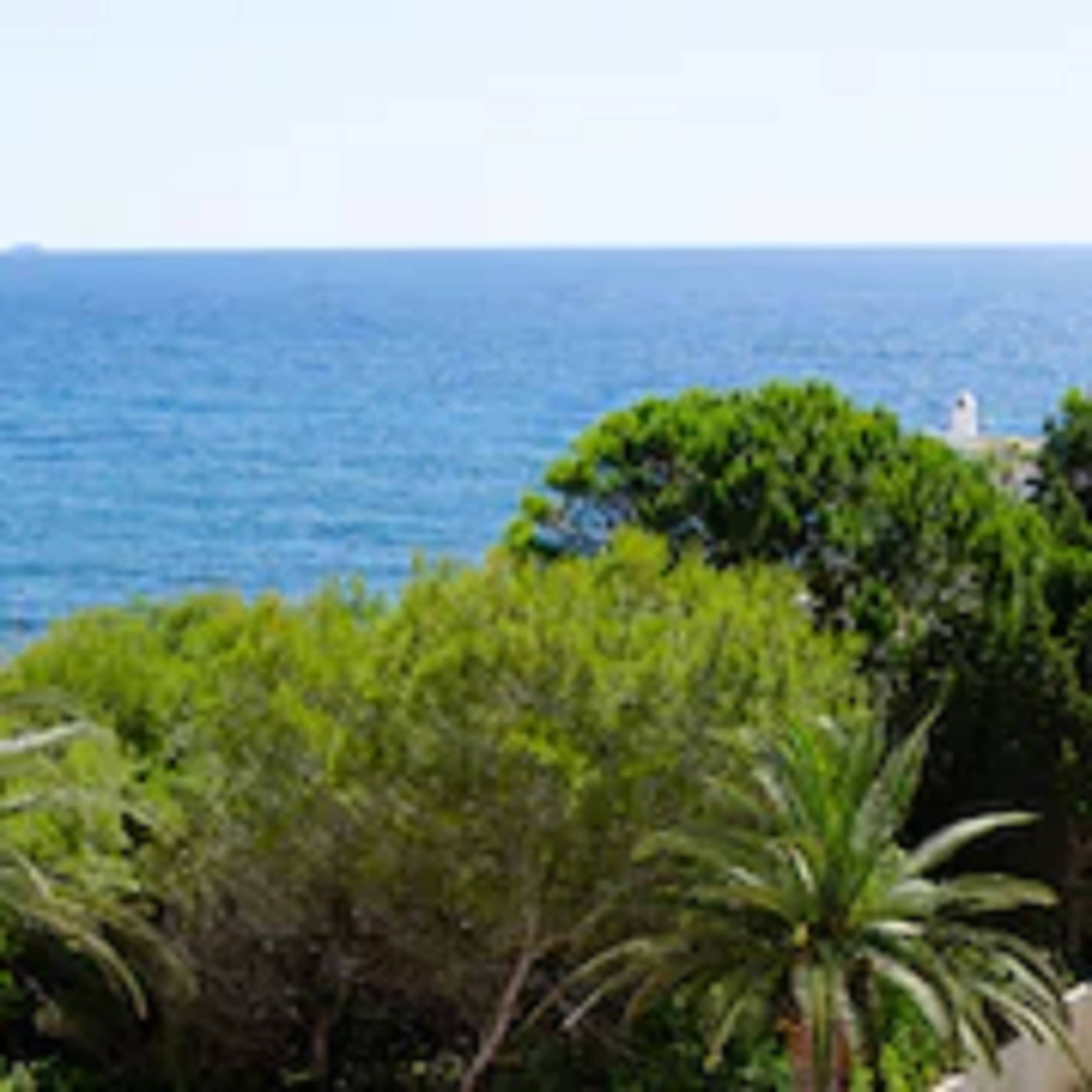 Hotel Moon Dreams Paraiso - Adults Recommended 1