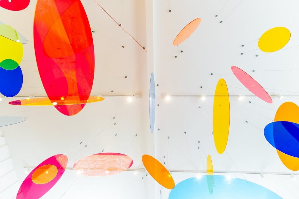 Wild Palms, a JdV by Hyatt Hotel 2