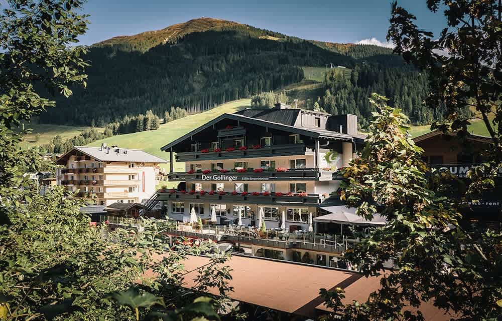 Der Gollinger 1