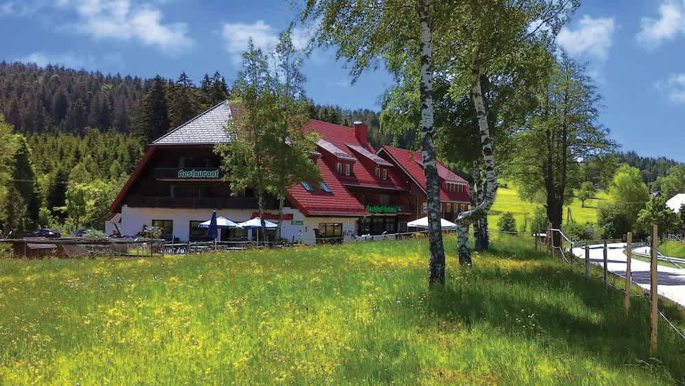 Landgasthaus Backhof-Helmle 1