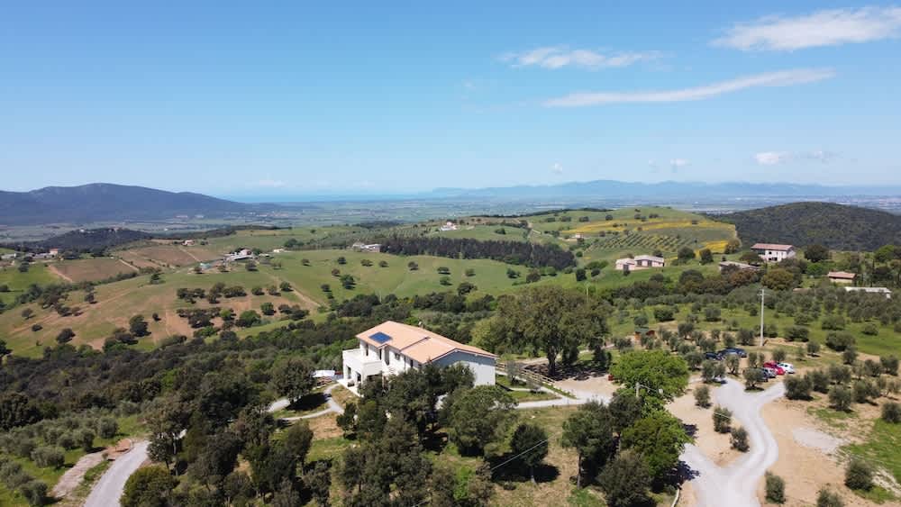 Casale Oleo 1