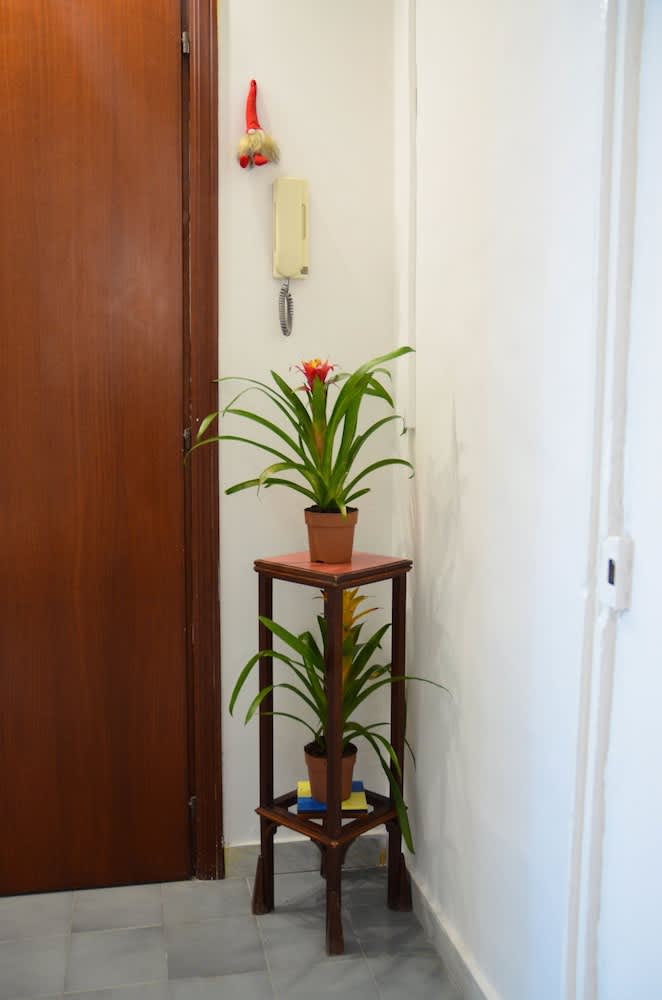 B&B Tecla 2