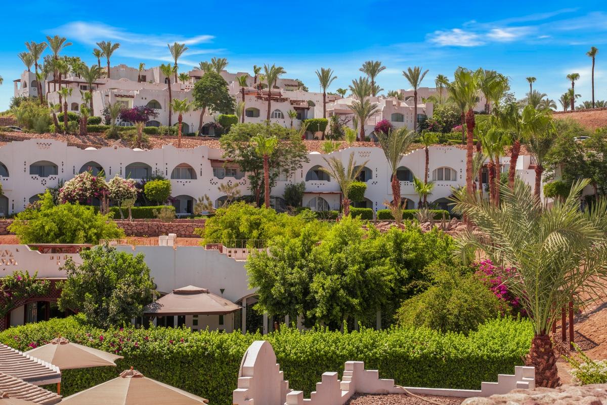 Domina Coral Bay Oasis 1