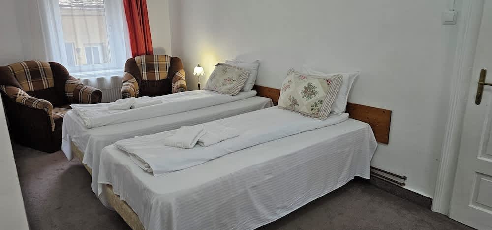 Guesthouse Casa Baciu 1