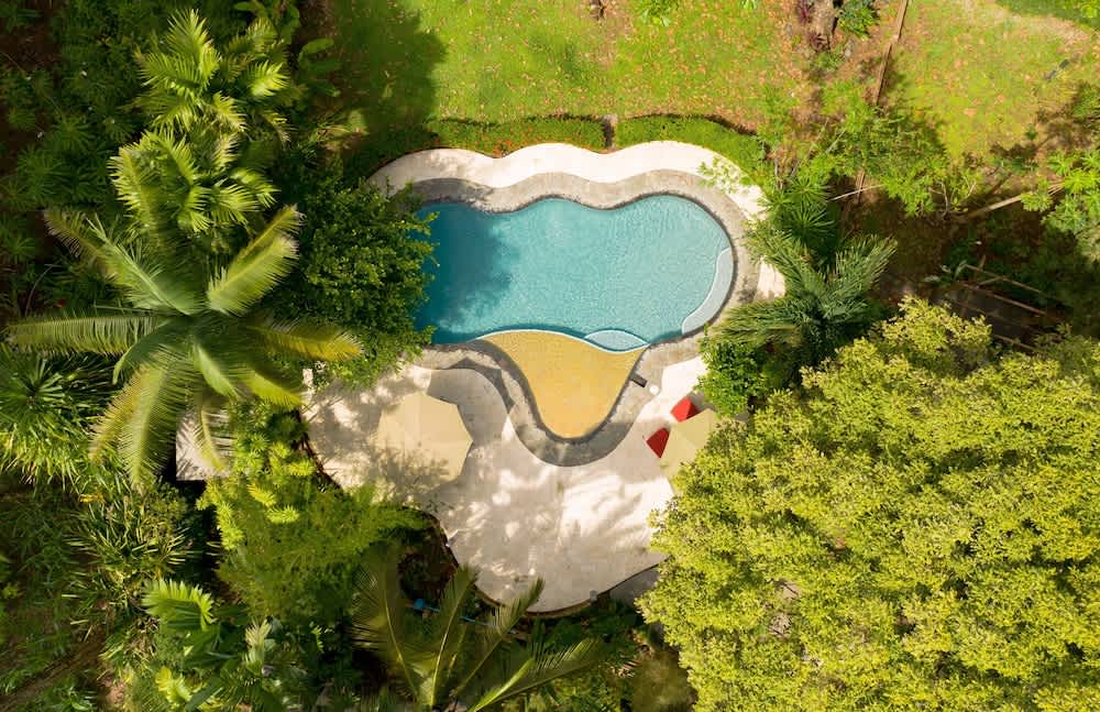 La Ponderosa 1