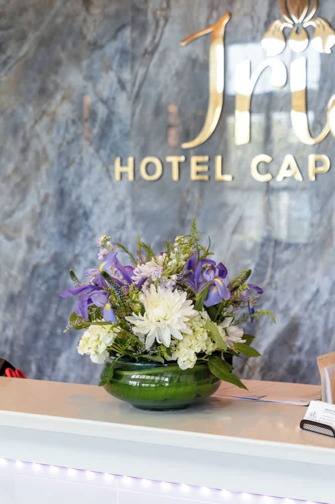 Iris Hotel Cape Cod 1