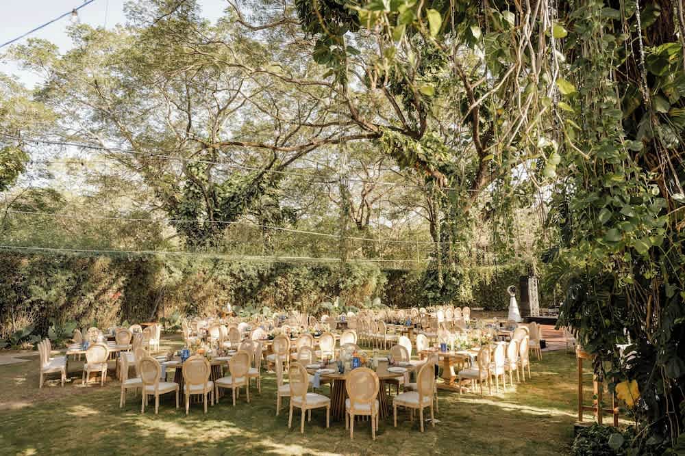 El Mangroove Papagayo, Autograph Collection 4