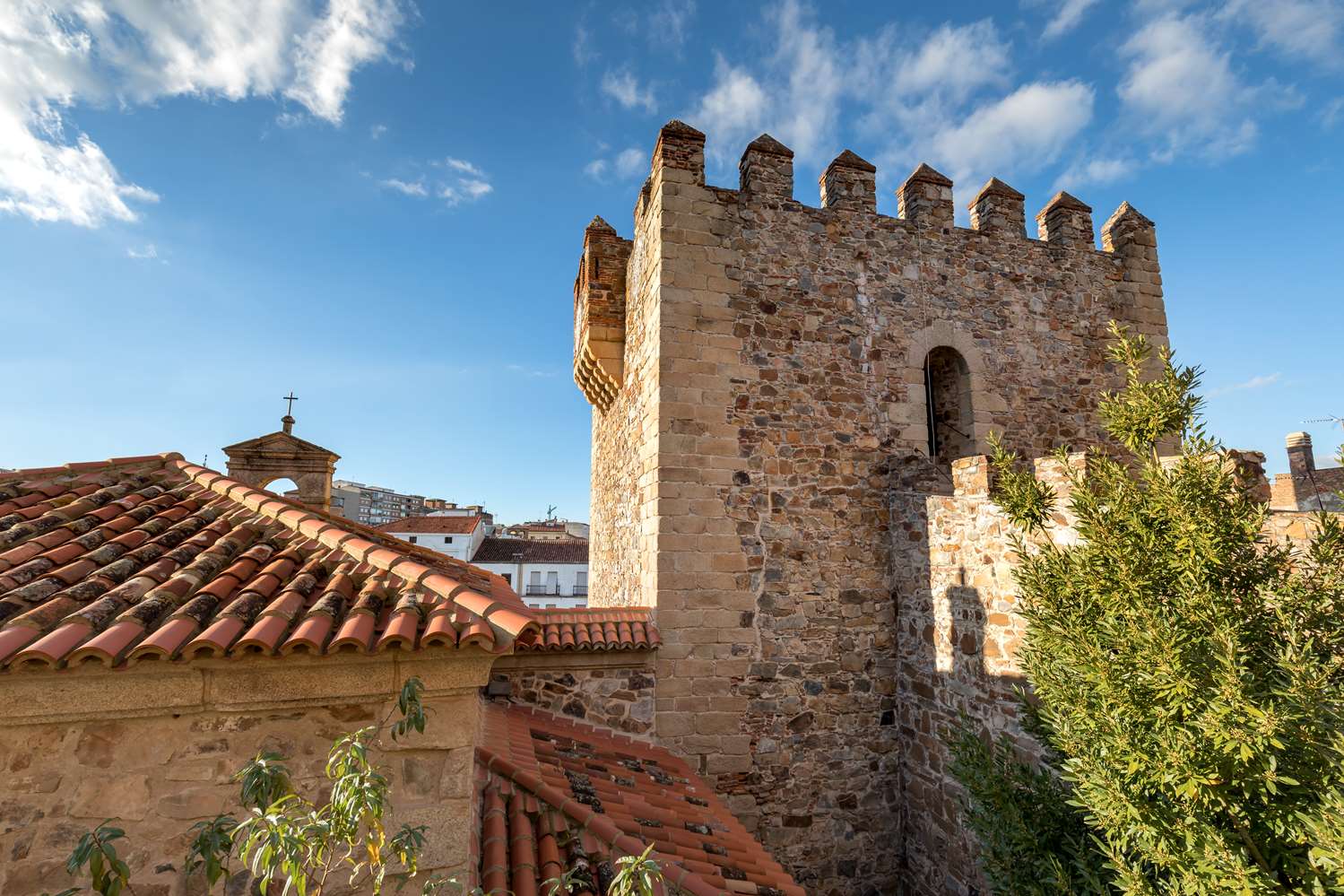 Barcelo Caceres V Centenario 4