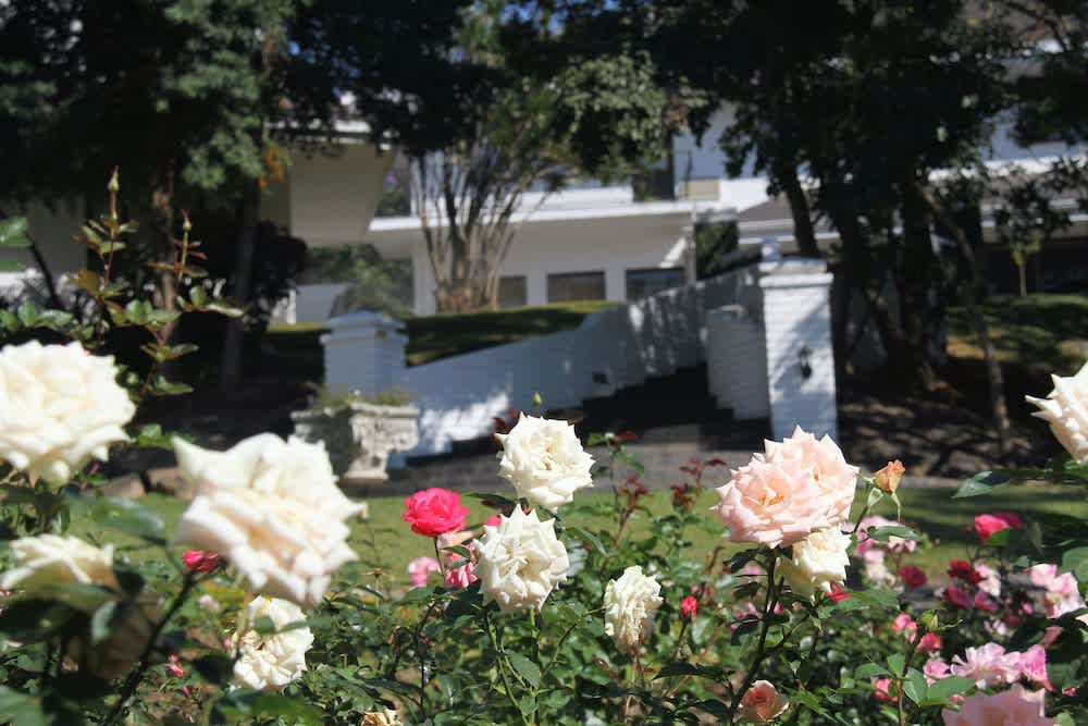 Sheppard Boutique Hotel 2