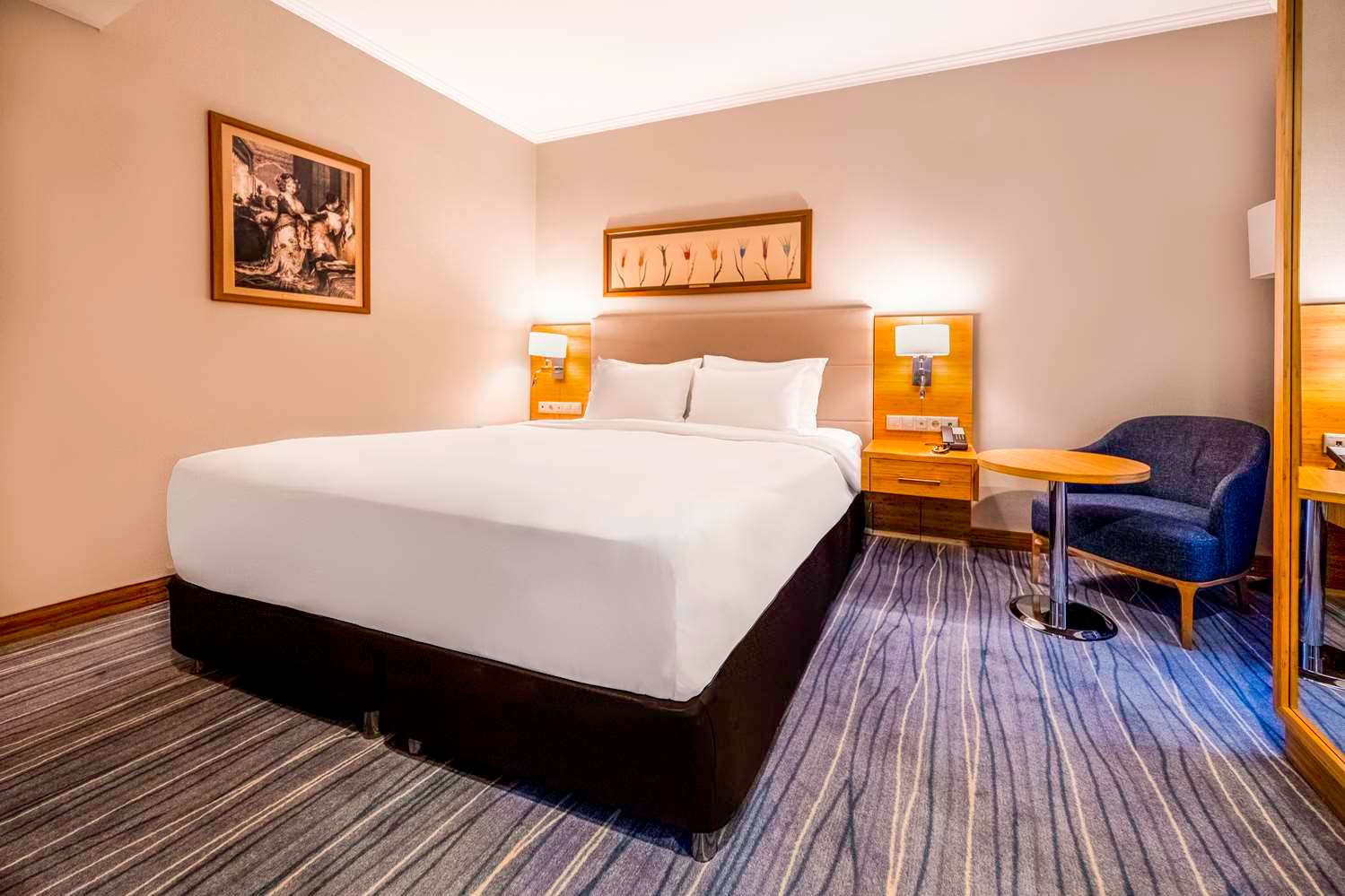 Radisson Hotel President Old Town Istanbul 5