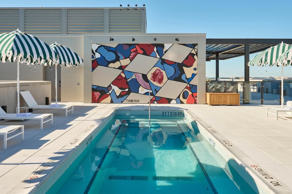 Arlo Washington DC 1