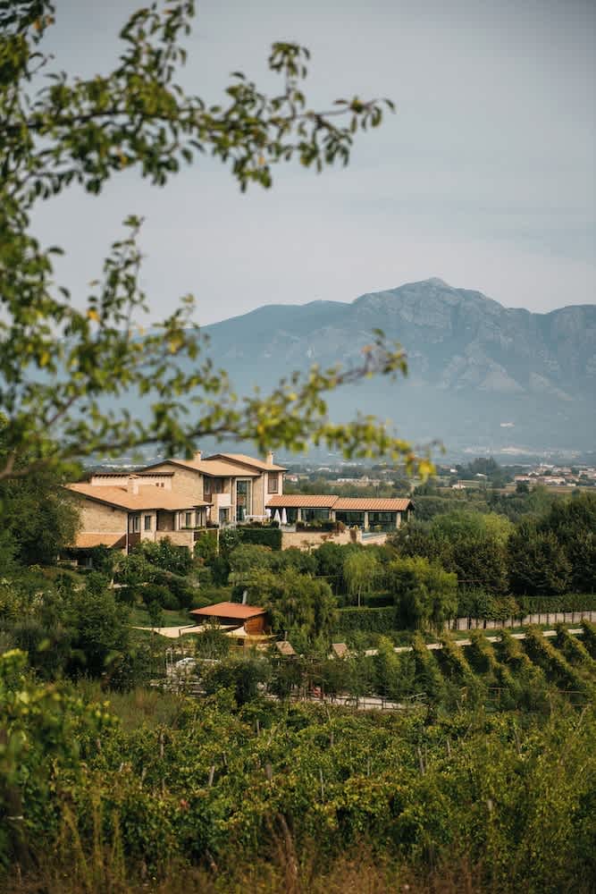 Tenuta Pezzapane 1