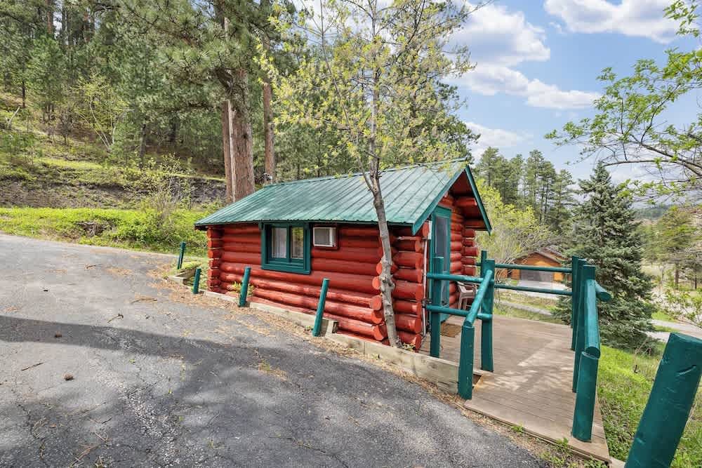 Ponderosa Pines 1