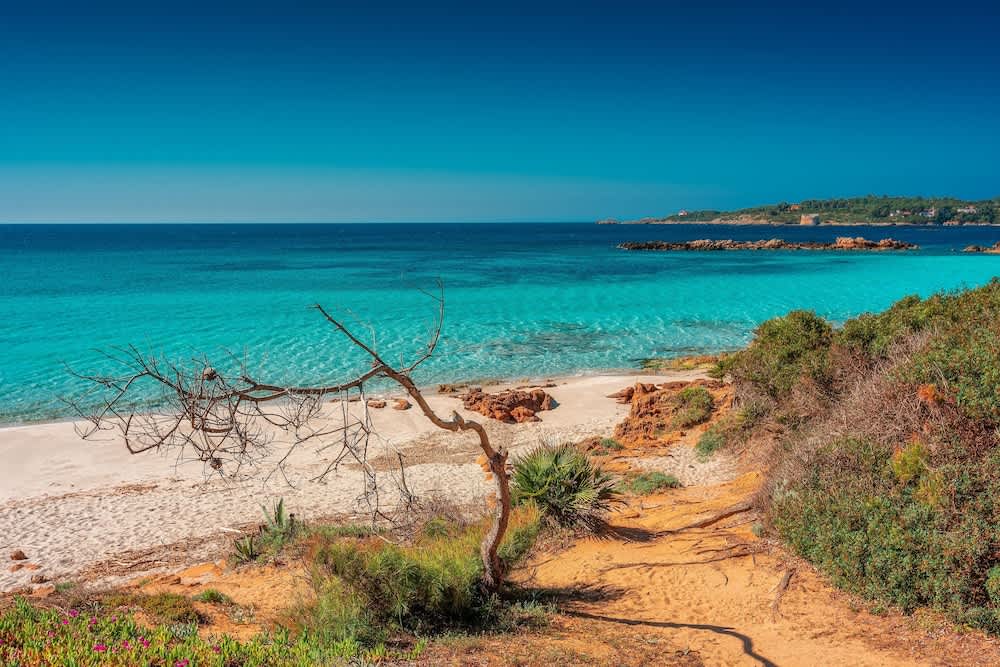 Beautiful Vista Blu Resort 3 Bedroom Sleeps 9 1