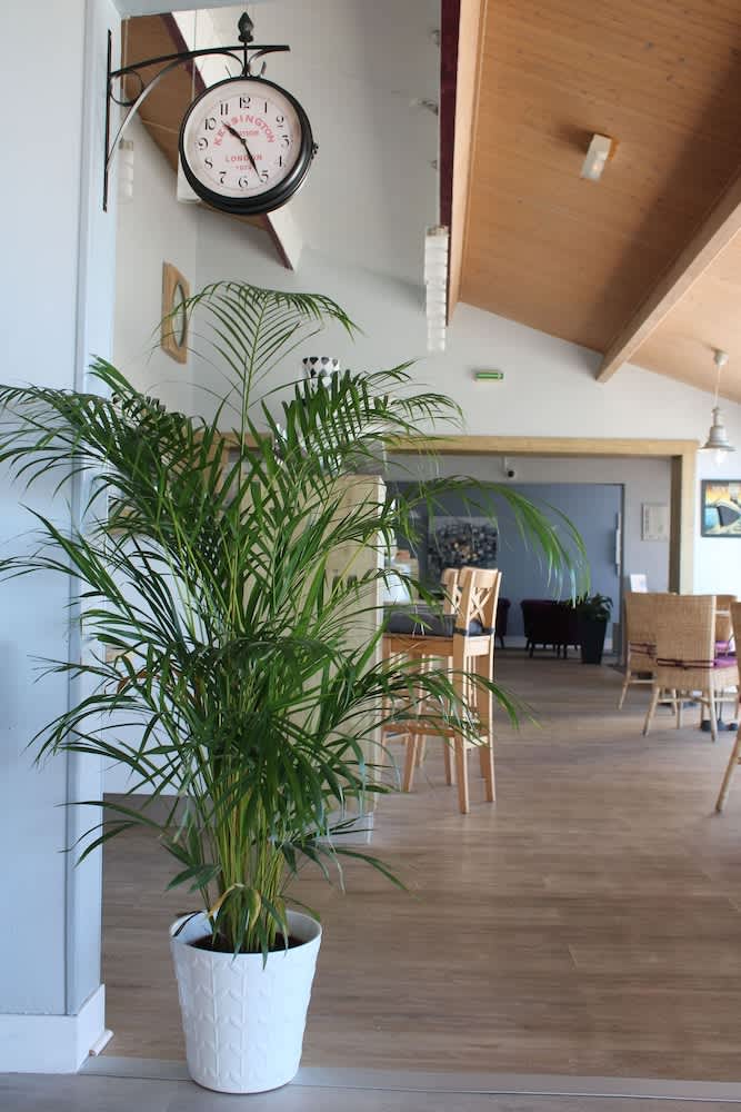 Hôtel des Dunes Noirmoutier 3