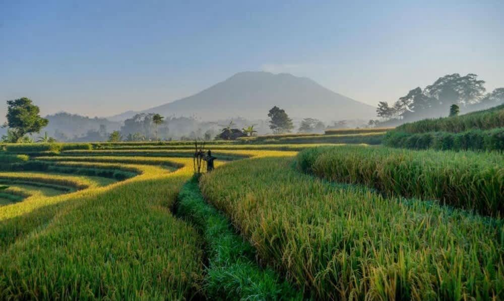 Gladak di uma bali 1