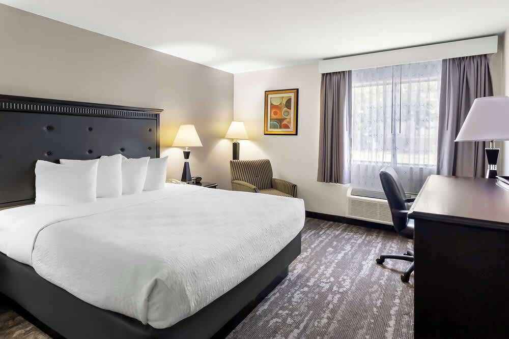 Best Western Saluki Inn 1