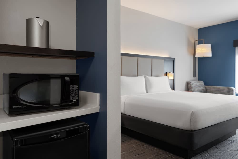 Holiday Inn Express & Suites Tampa East - Ybor City by IHG 5