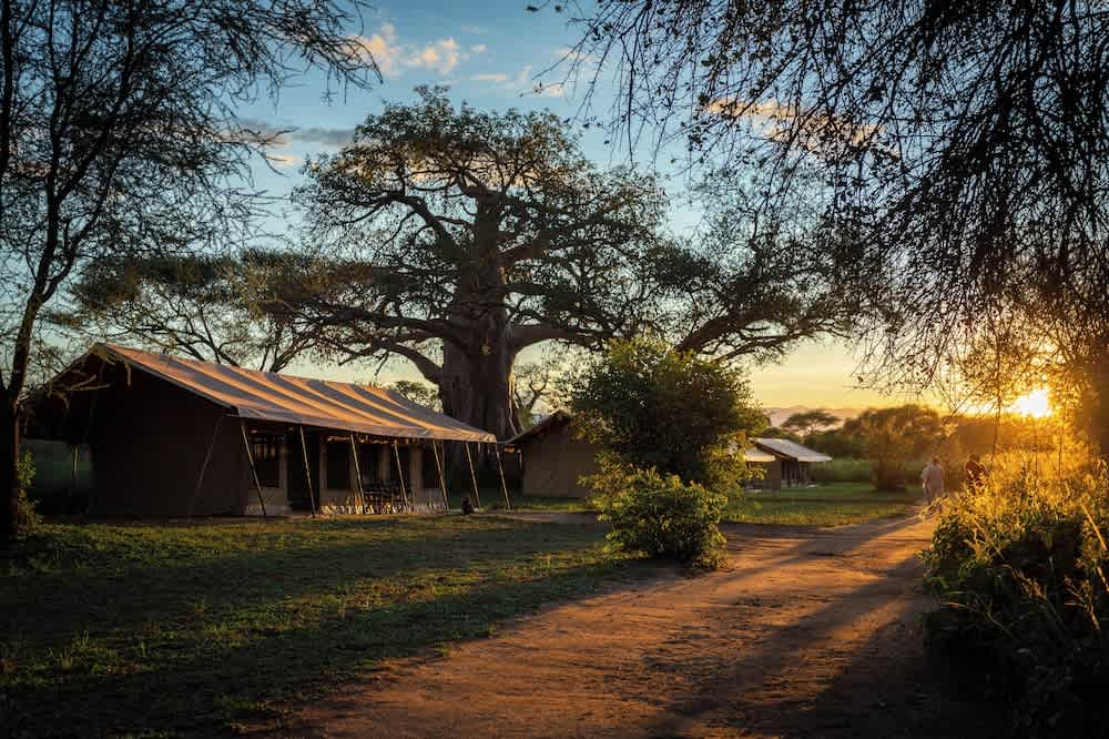 Baobab Tented Camp 1