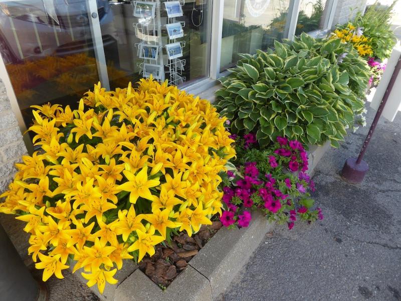 Motel de l'Anse a l'Eau 5