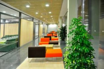 Residencia Universitaria Resa Damia Bonet 3