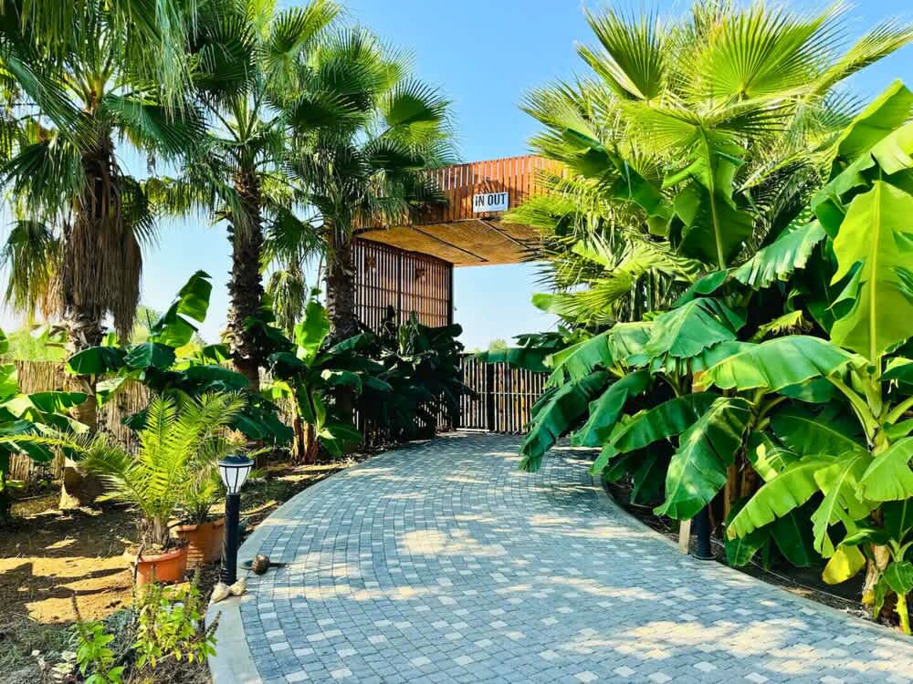 In Out Resort Glamping 2
