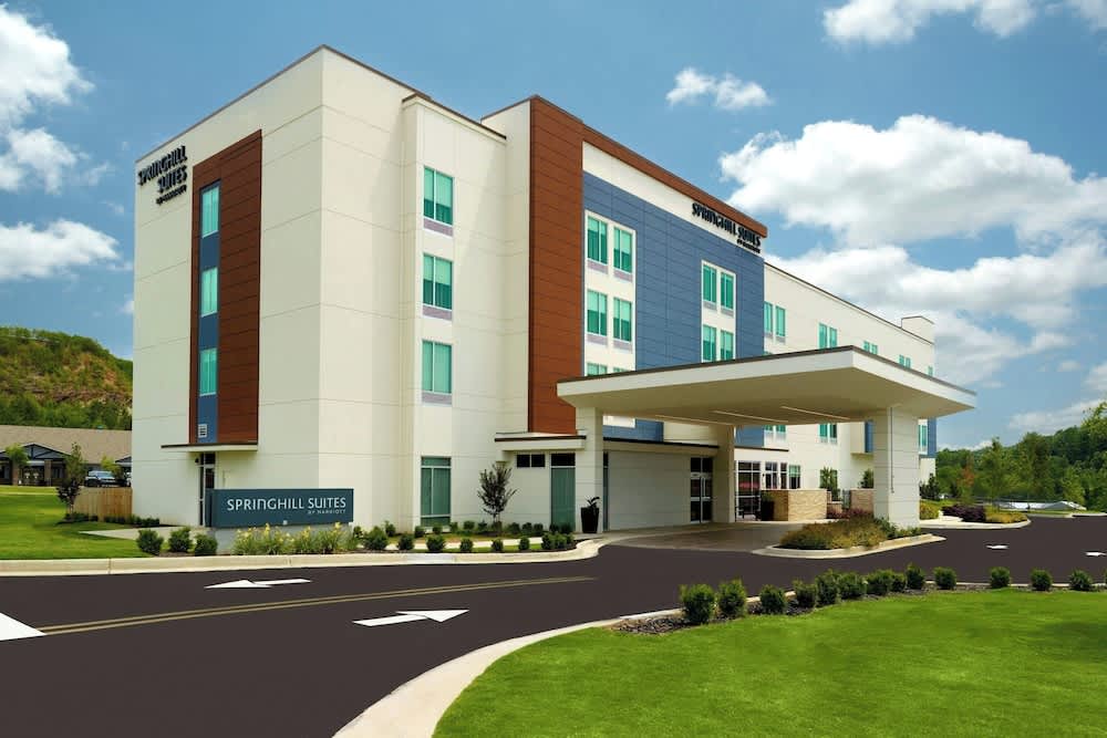 SpringHill Suites by Marriott Ellijay 1
