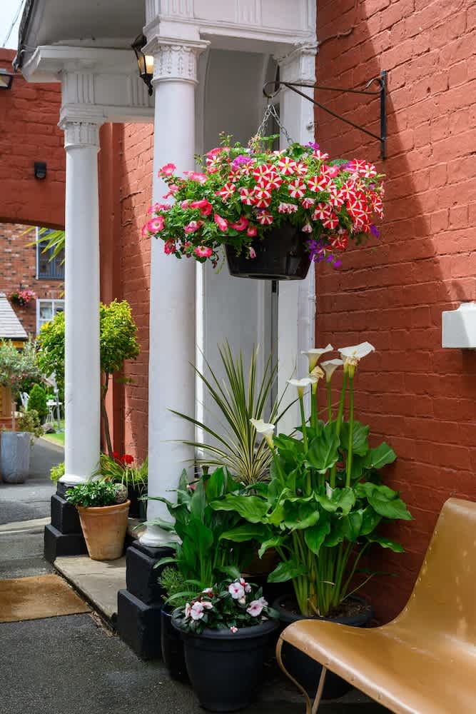 Darwins Townhouse 2