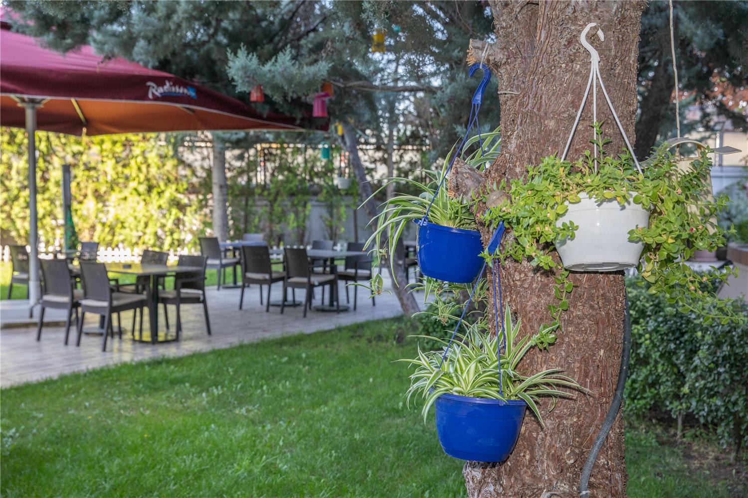 Radisson Blu Ankara 4