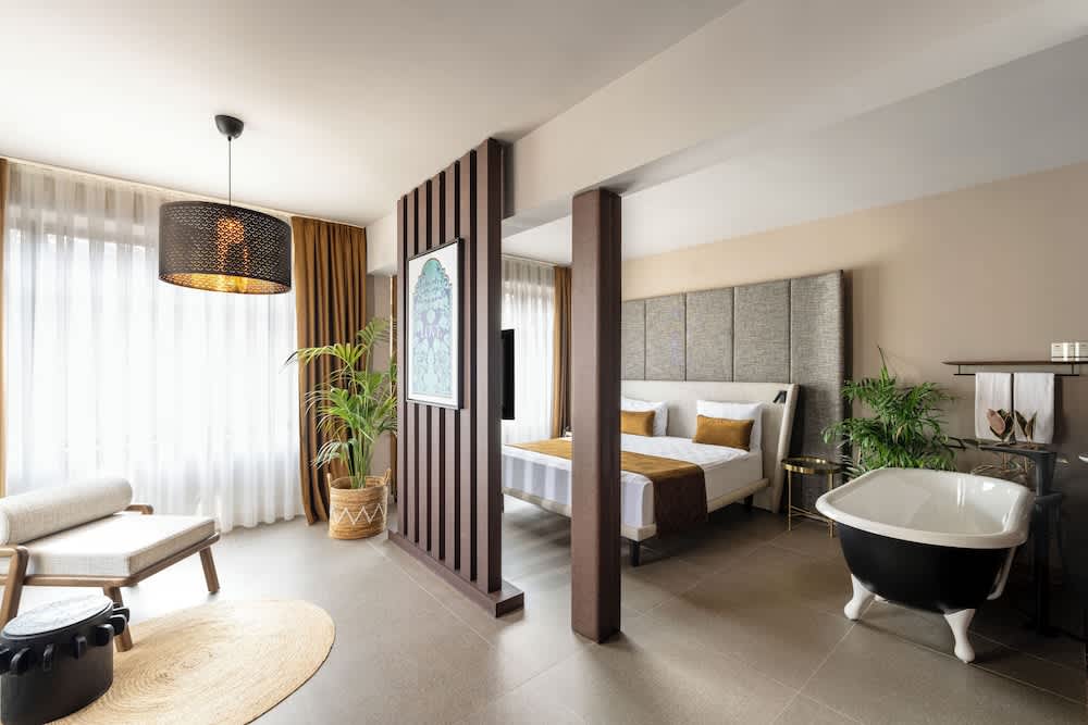 Alp Pasa Hotel - Special Class 1