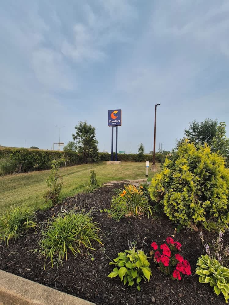 Comfort Inn 1