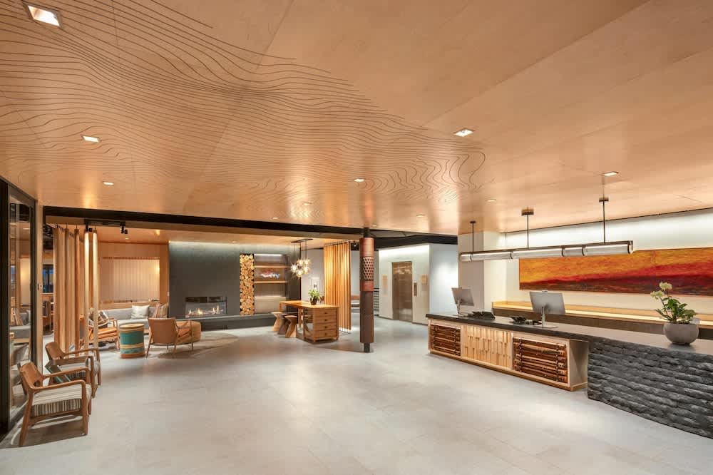 The Wildbirch Hotel - JdV by Hyatt 2
