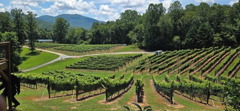 Paradise Hills, Winery Resort & Spa 1
