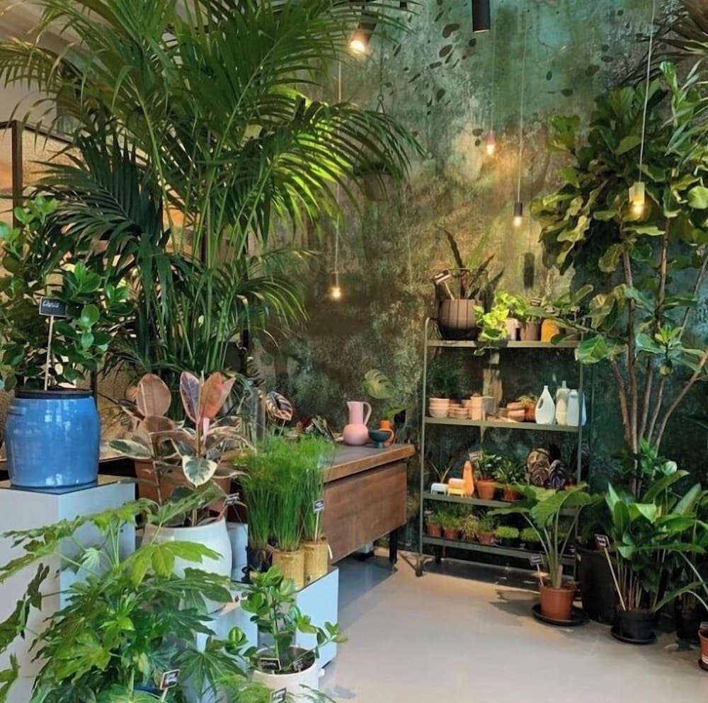 Daen’s Greenhouse 2