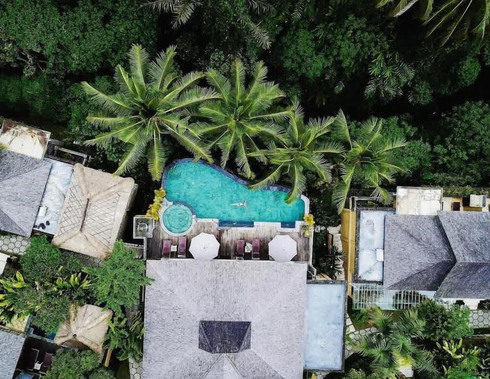 Wapa di Ume Ubud 1