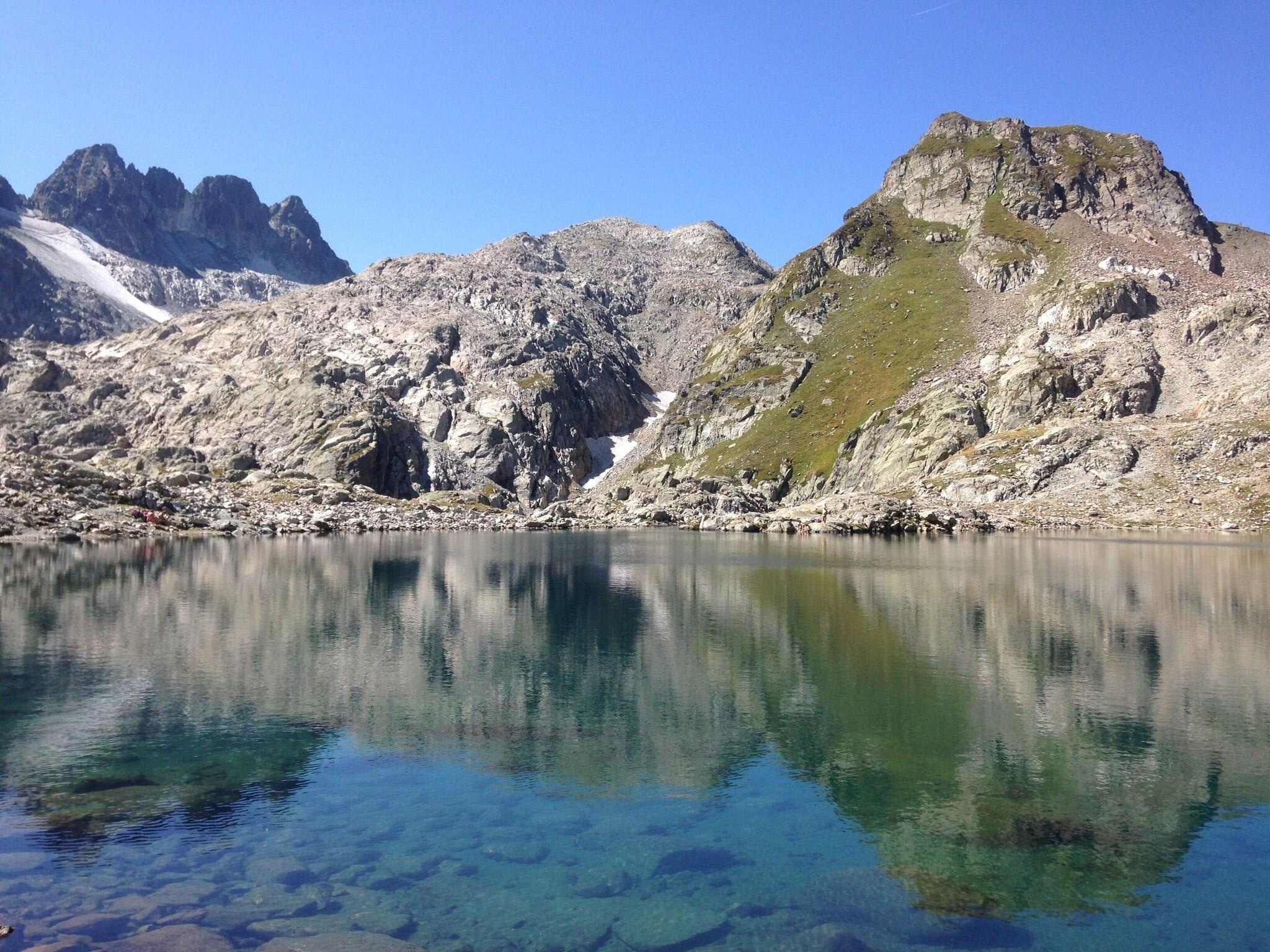 Adonis Saint Colomban By Olydea 2