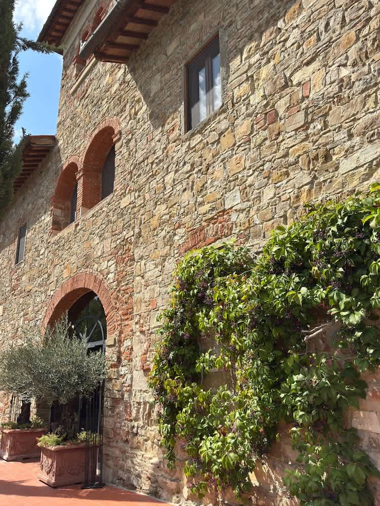 Terre di Baccio 2