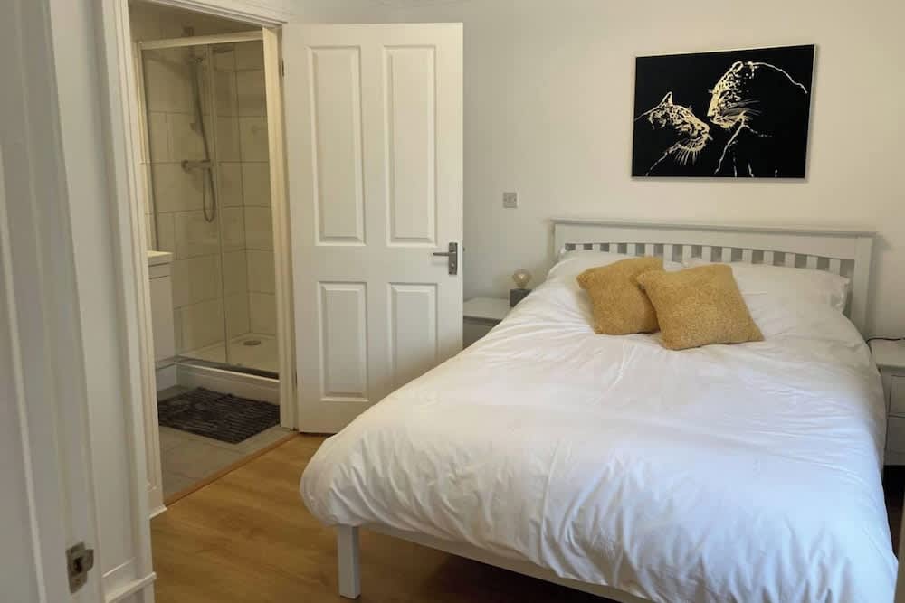 Modern The Mews Apartment 1