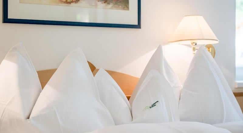 Alpenhotel Zimba 1