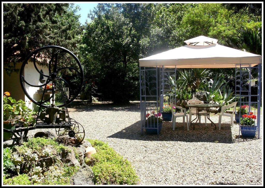 Les jardins du Patriarche Hôtel 1