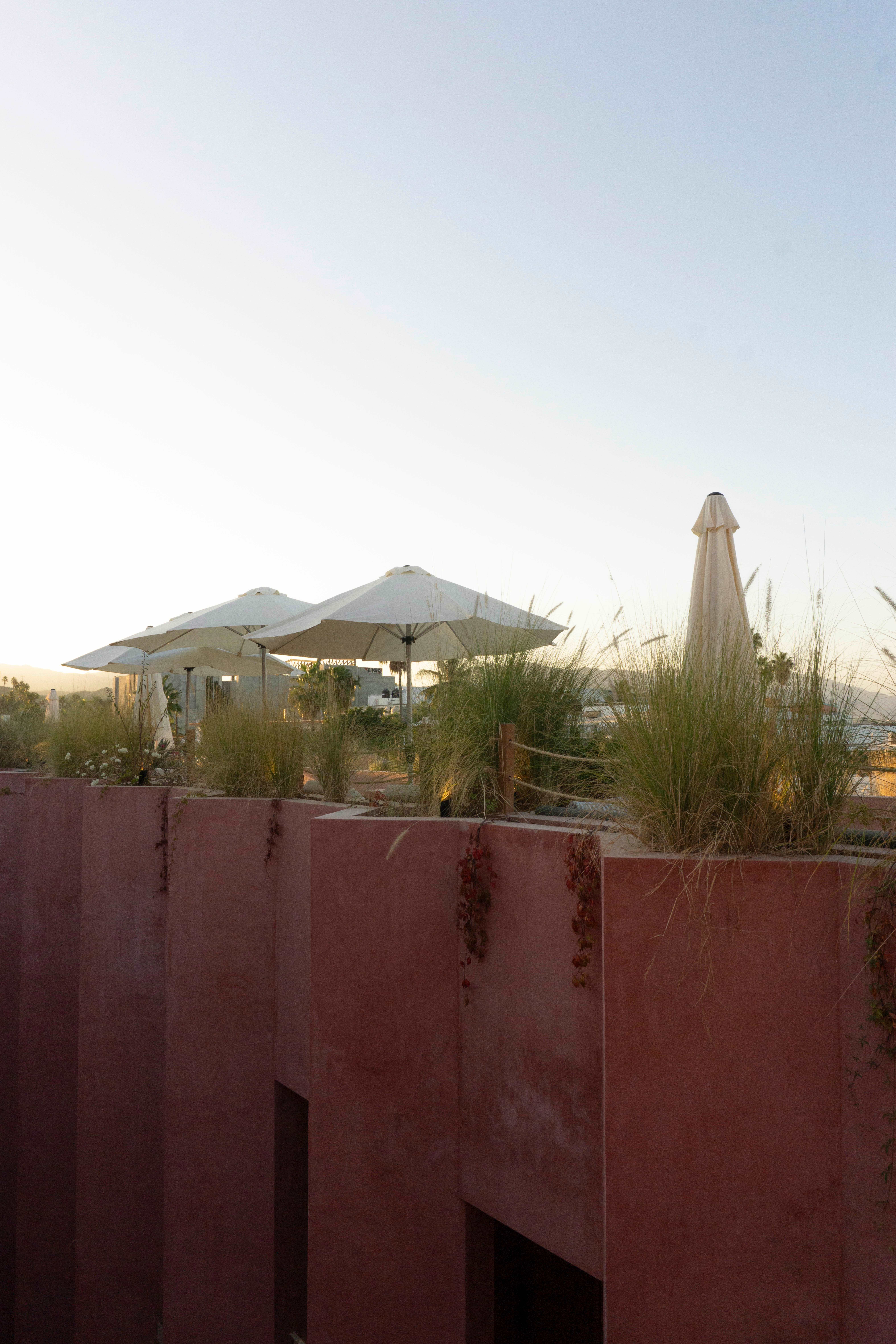 Laiva Hotel San Jose by Tasman 1
