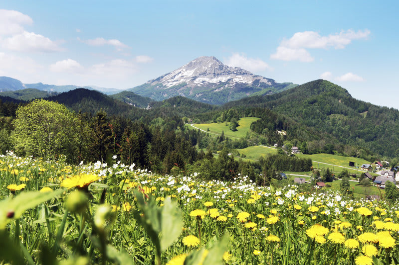 JUFA Hotel Annaberg 2