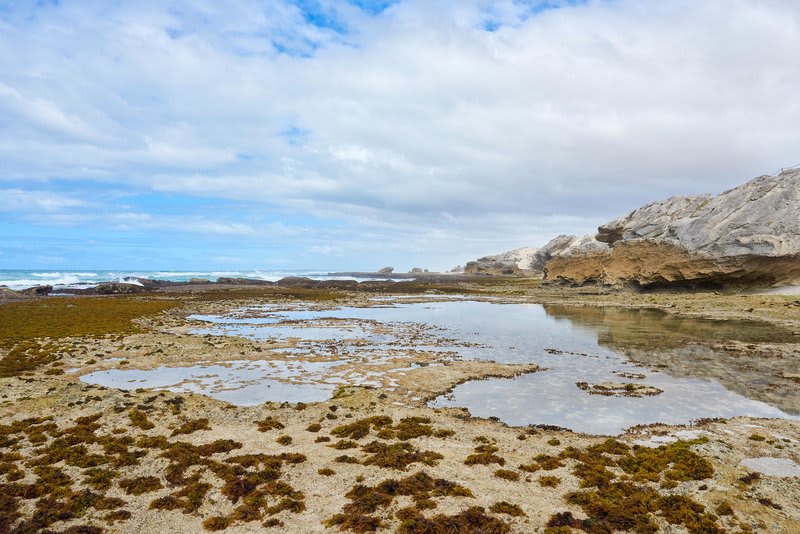 De Hoop Collection 1